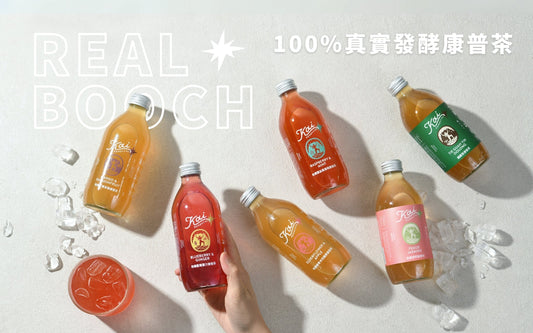 康普茶對腸道真的有幫助嗎？臨床研究給出答案：前提是你喝到『真正的康普茶』