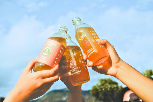 每月康普茶12瓶組合訂閱 - Kai Kombucha | 開-康普茶