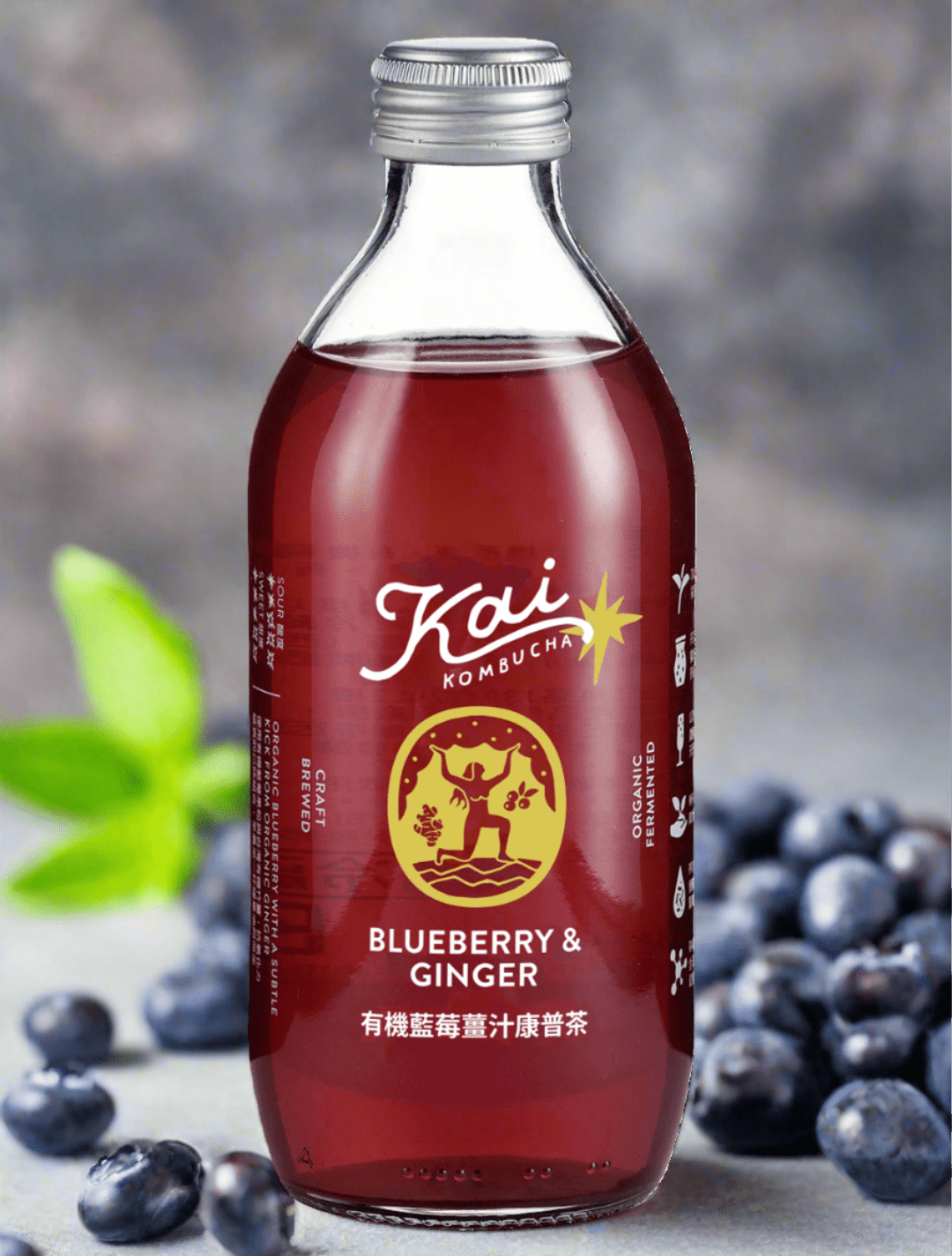 有機藍莓薑汁 (訂閱) - Kai Kombucha | 開-康普茶