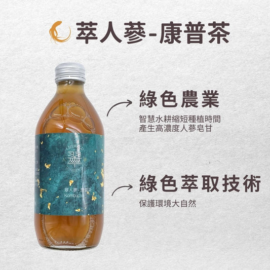 營養科學系劉沁瑜教授 x Kai Kombucha 綠色植萃人蔘康普茶 6入組 - Kai Kombucha | 開-康普茶